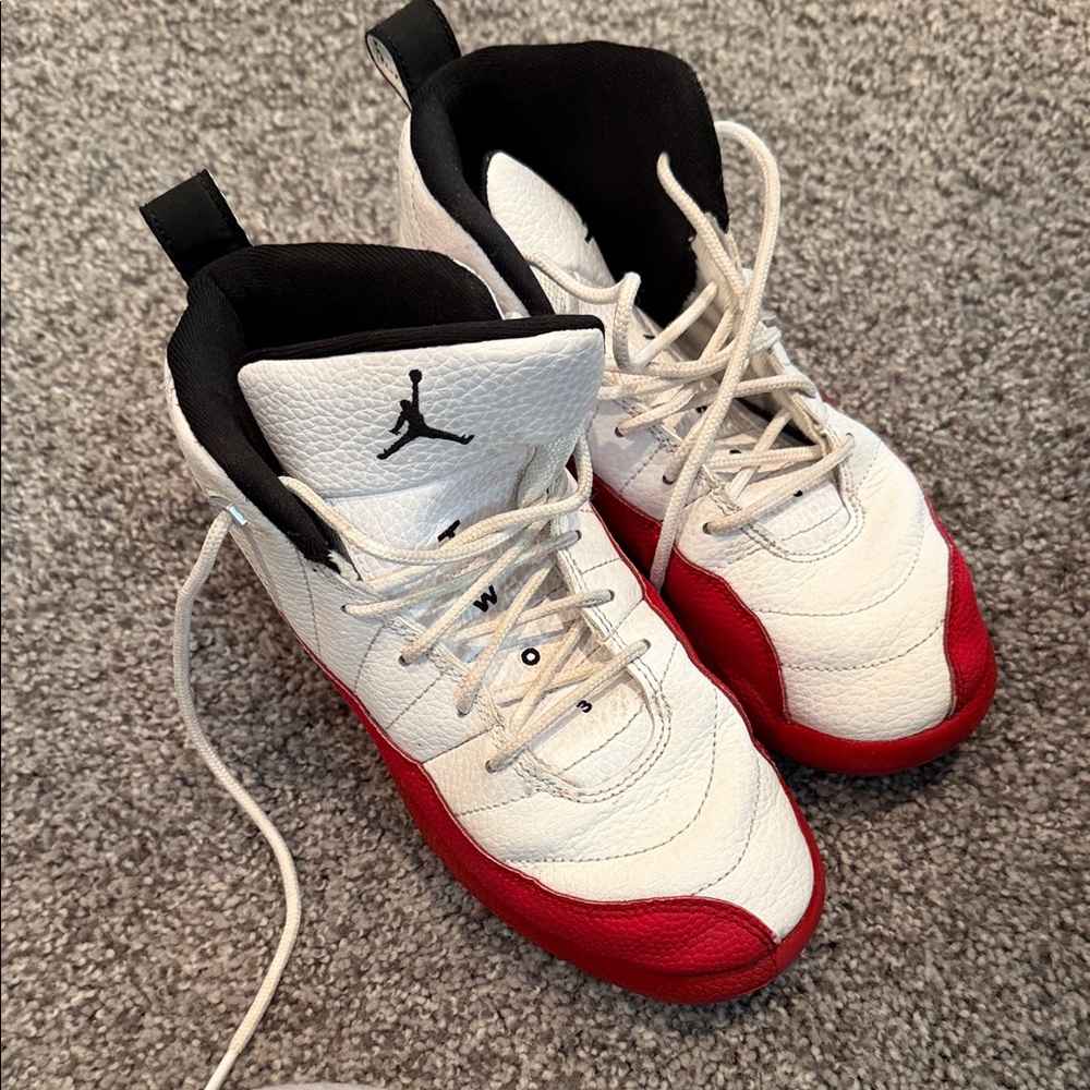 Jordan 12 retro youth 3